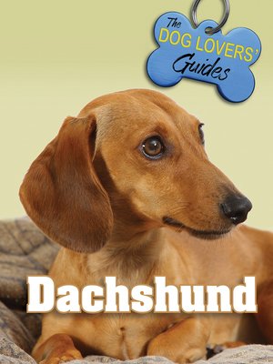 cover image of Dachshund